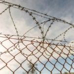 Barbed Wire Fence