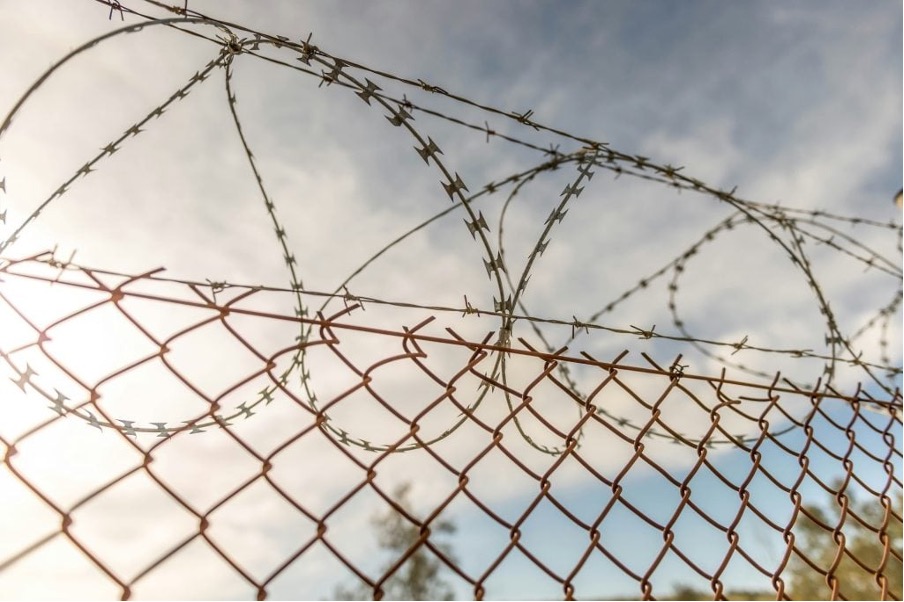 Does the Green Party advocate for open borders?