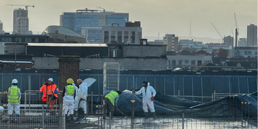 Construction Workers